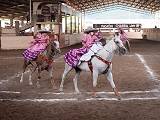 Escaramuza Rancho El 13 Infantil “A” buscará poner en alto a Reynosa y Nuevo León en el Campeonato Nacional Charro