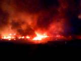 Bomberos acuden a sofocar incendio en pastizal y basura